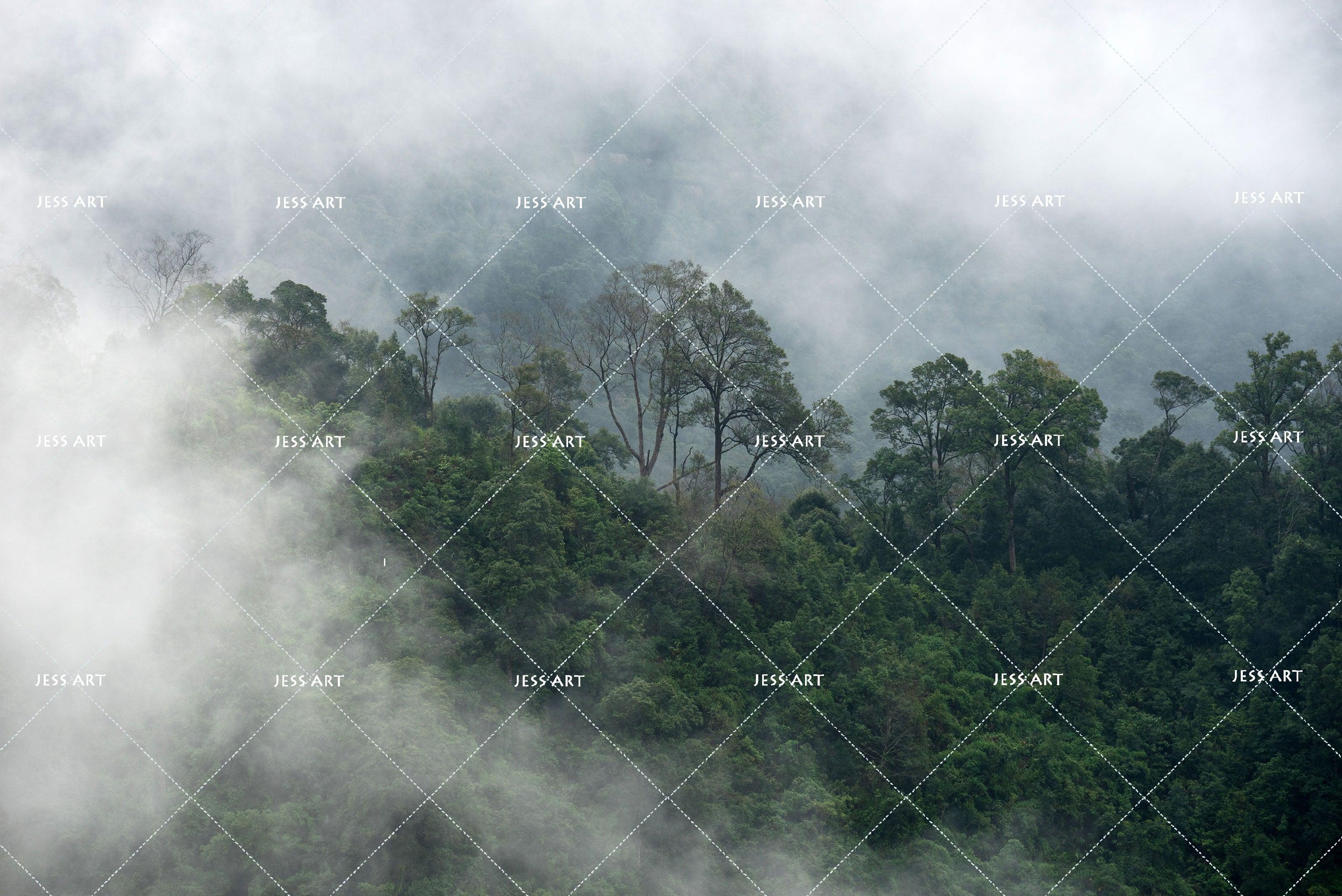 3D Fog Forest Wall Mural Wallpaper 154- Jess Art Decoration