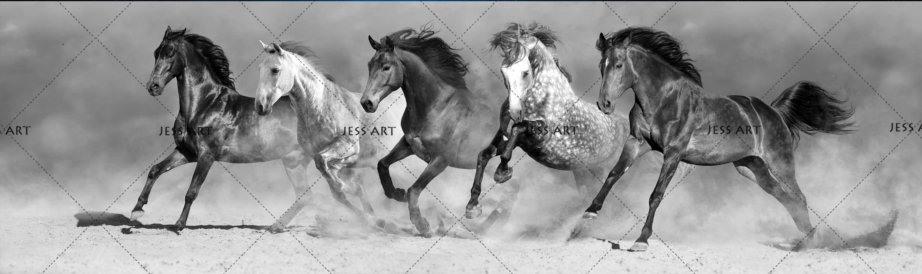 3D Black White Horse Gallop Wall Mural Wallpaper 145- Jess Art Decoration