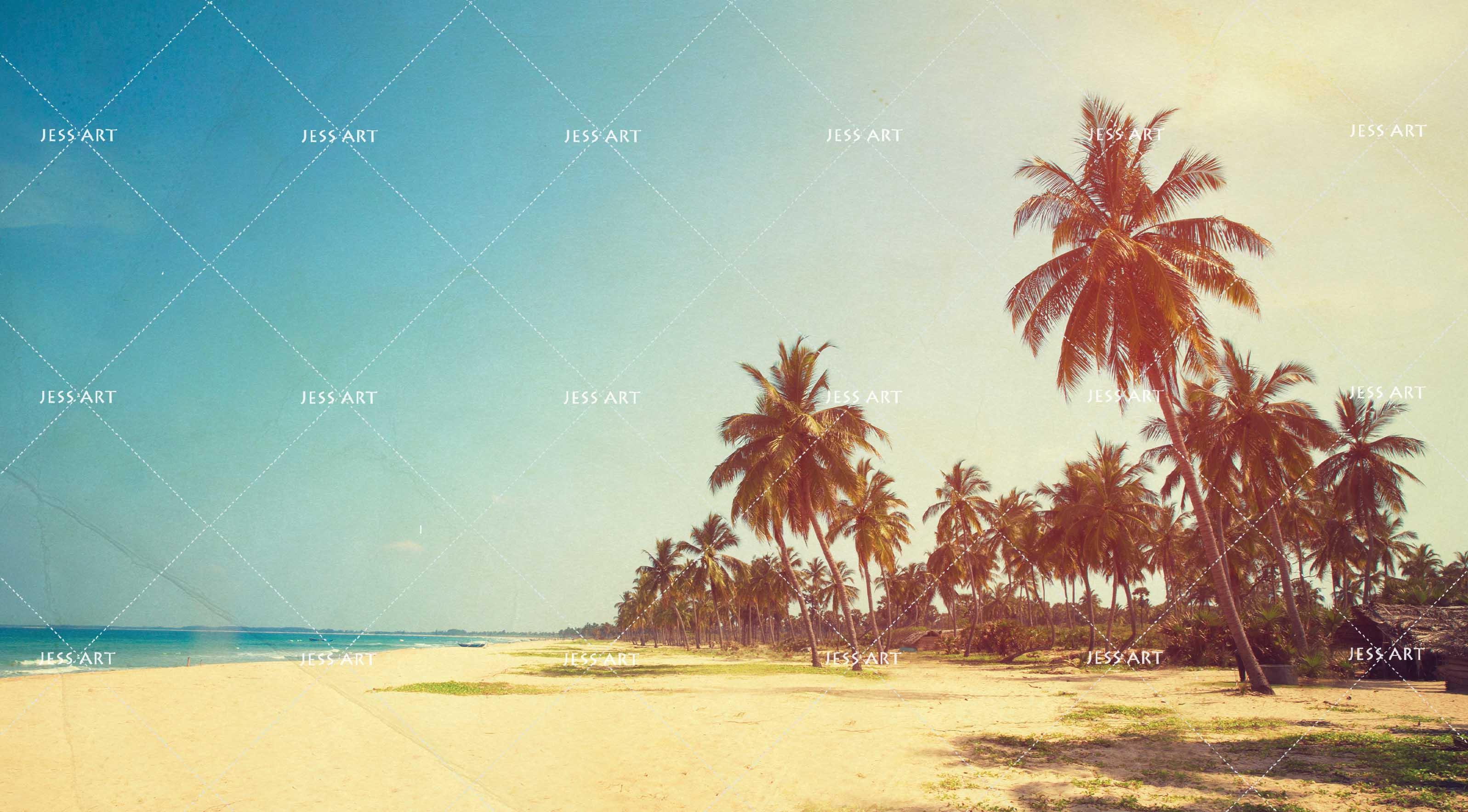 3D blue sky beach coconut tree wall mural wallpaper 120- Jess Art Decoration