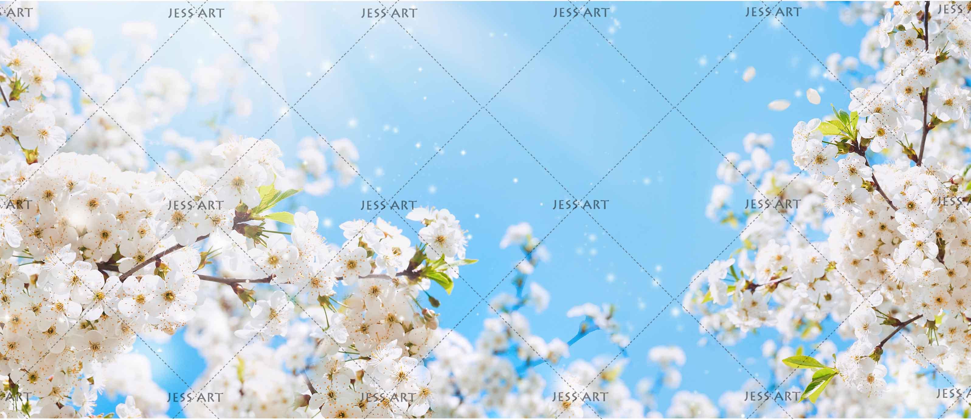 3D Blue Sky Cherry Blossoms Wall Mural Wallpaper 178- Jess Art Decoration