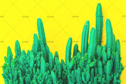 3D green cactus yellow background wall mural wallpaper 94- Jess Art Decoration