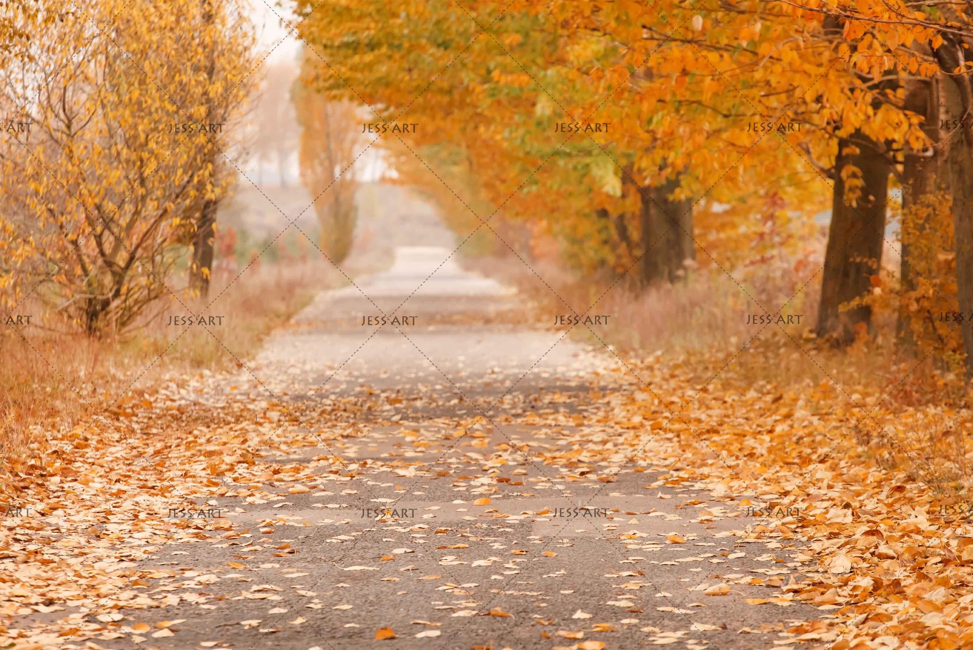 3D Jungle Red Leaves Wall Mural Wallpaper 21- Jess Art Decoration