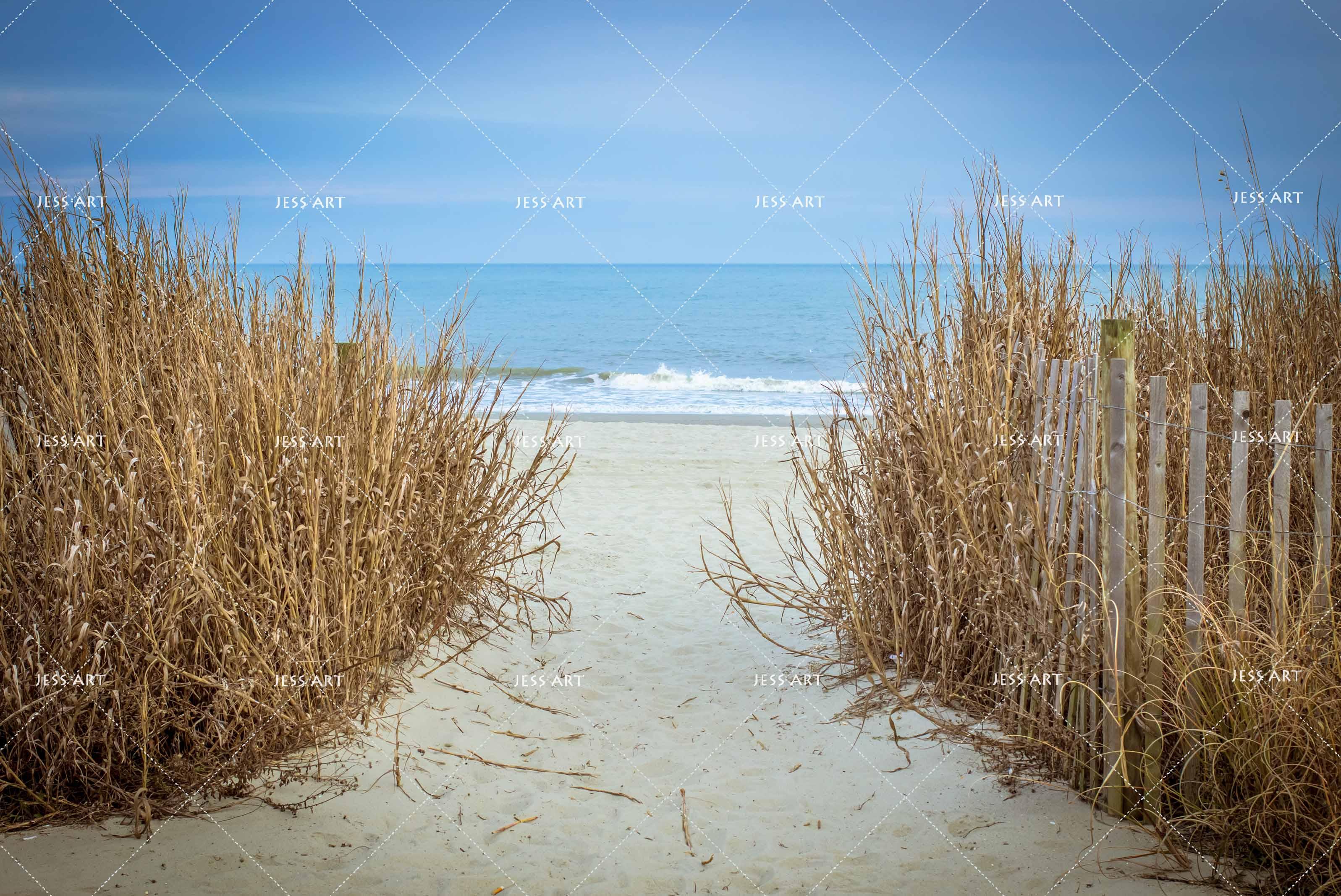 3D Autumn Blue Sky Sea  Wall Mural Wallpaper  12- Jess Art Decoration