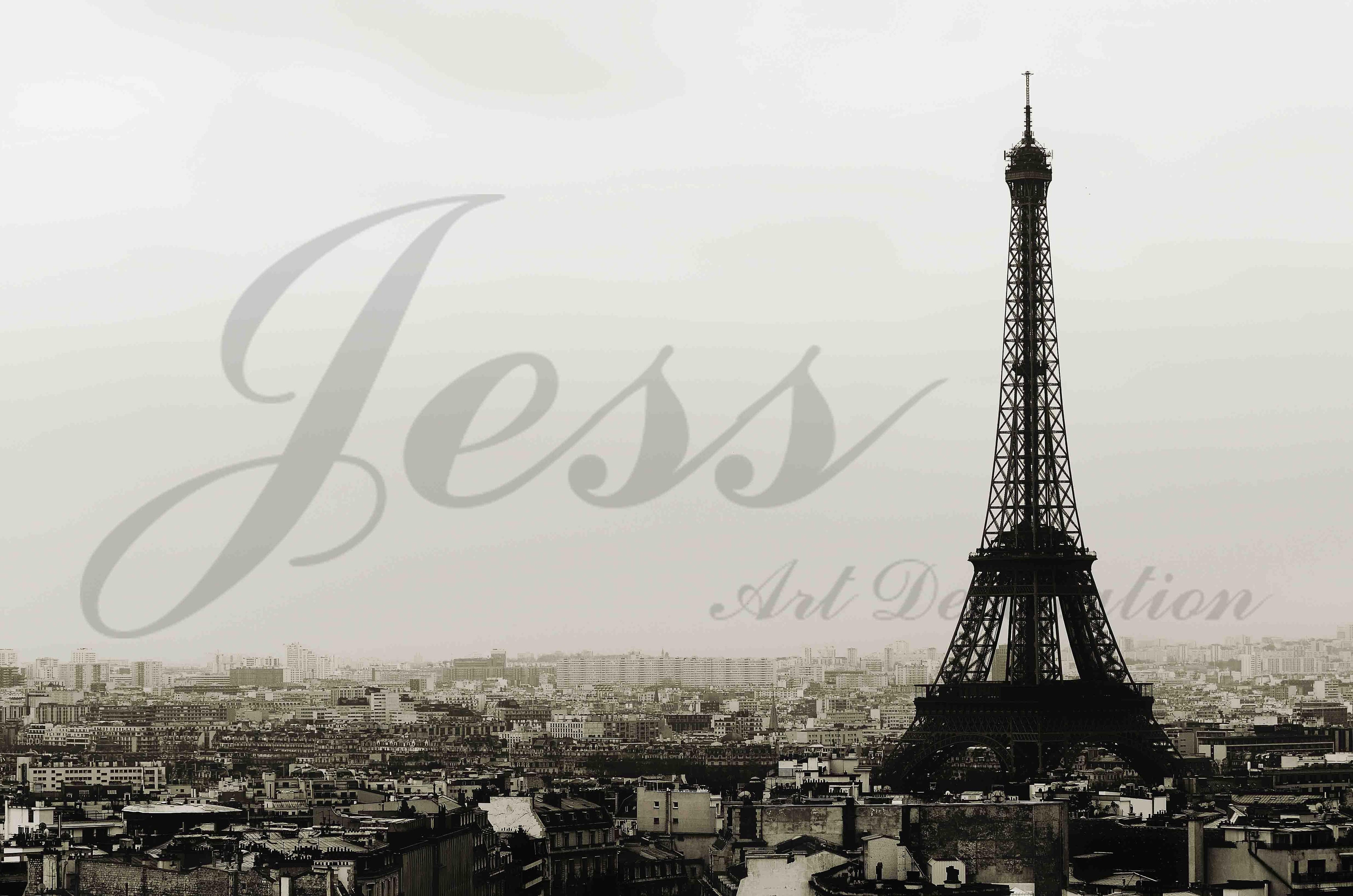 3D Black White Eiffel Tower Wall Mural Wallpaper 11- Jess Art Decoration