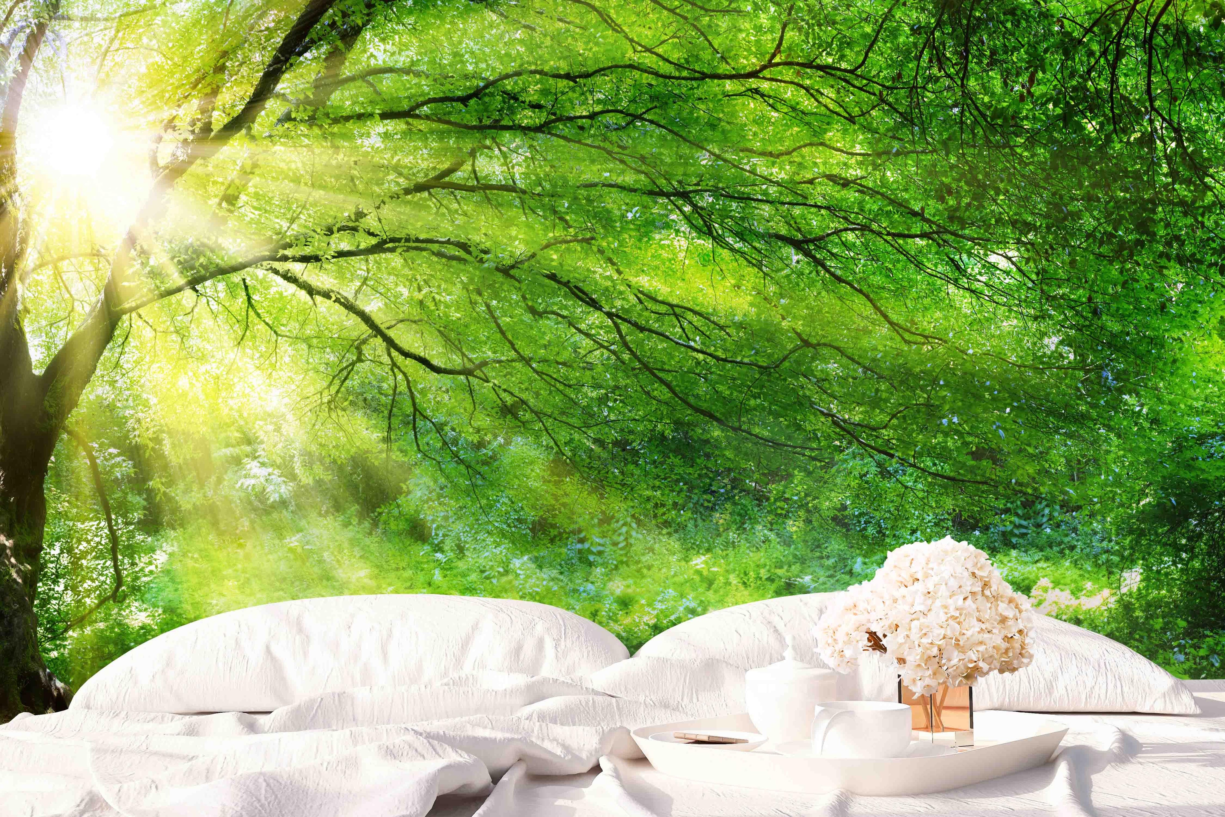 3D Green Jungle Sunshine Wall Mural Wallpaper 23- Jess Art Decoration