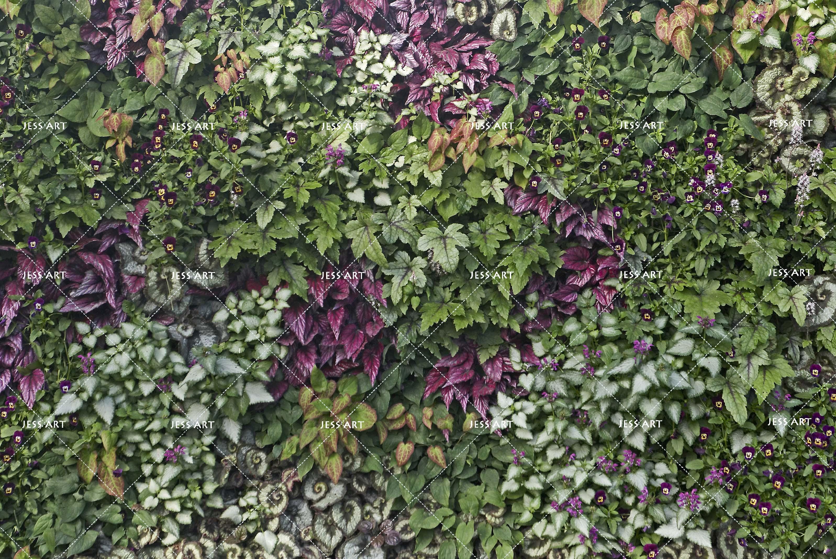 3D Green Leaves Wall Mural Wallpaper 47- Jess Art Decoration