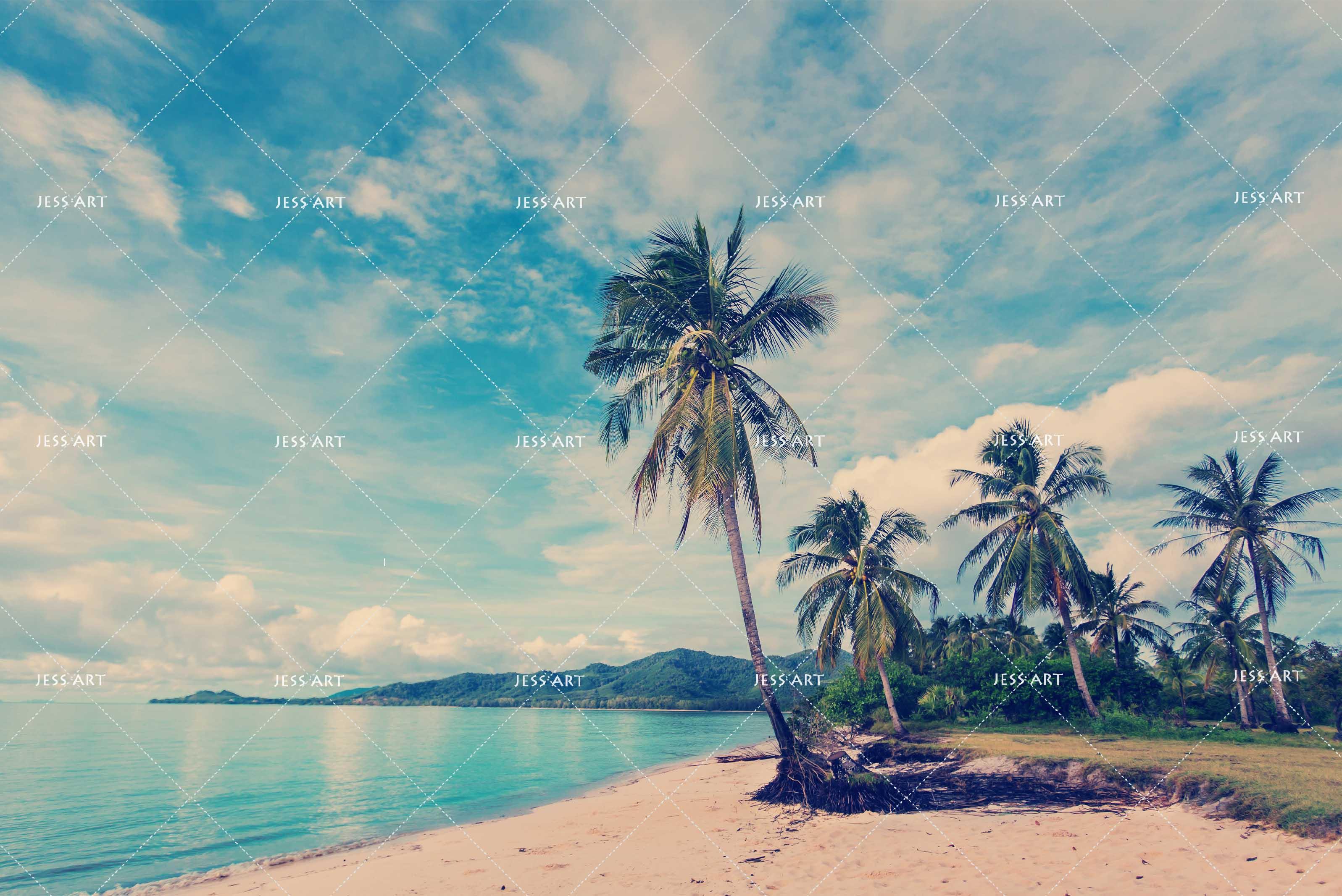 3D blue sky sea beach coconut tree wall mural wallpaper 104- Jess Art Decoration