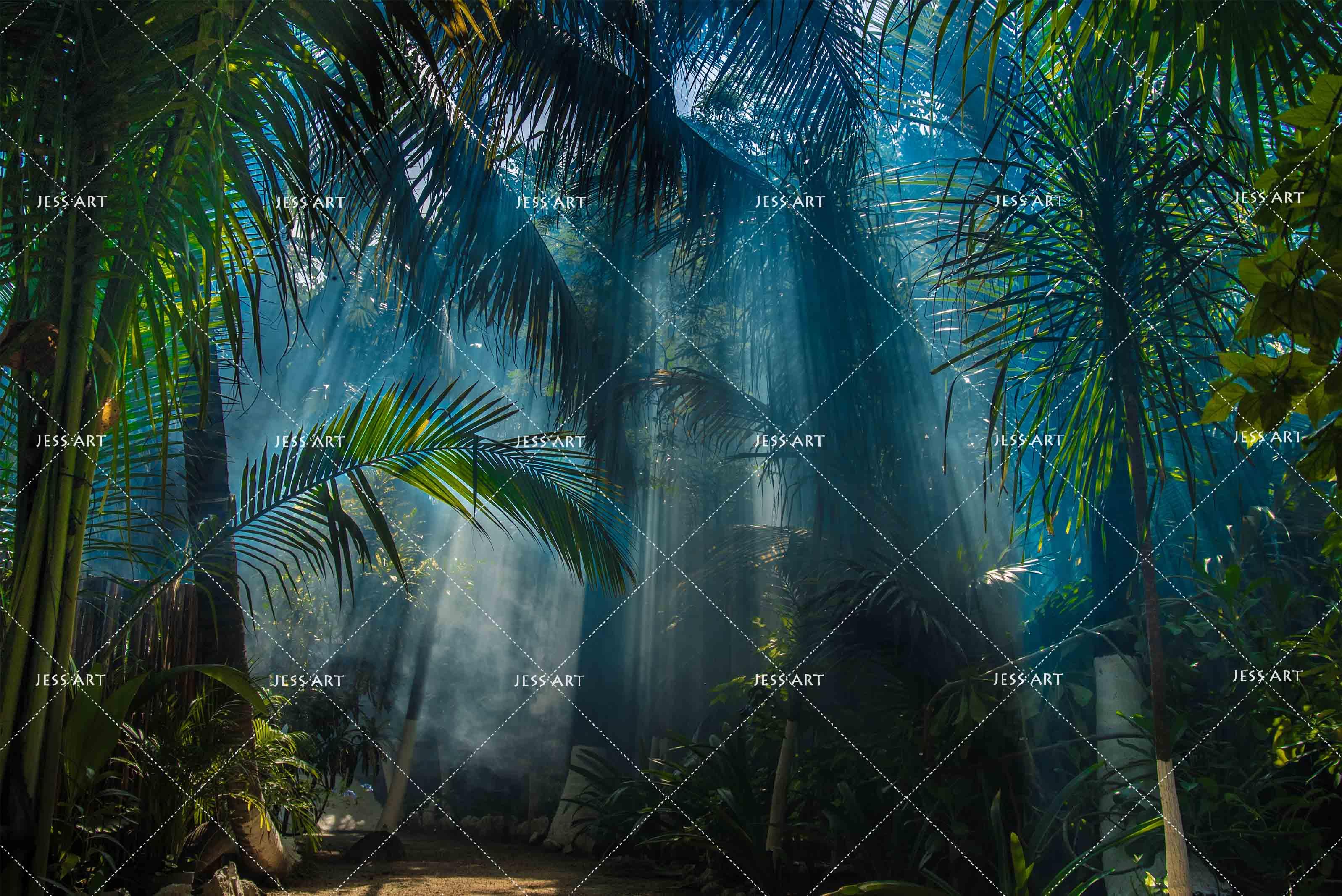 3D Dark Tropical Virgin Forest Wall Mural Wallpaper 92- Jess Art Decoration