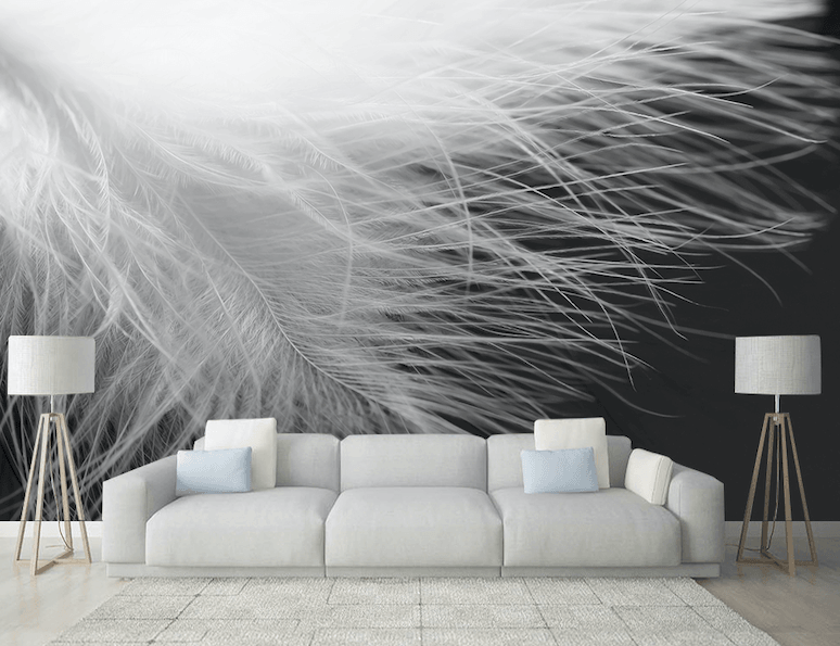 3D Modern Black White Feather Wall Mural Wallpaper JN 1441- Jess Art Decoration