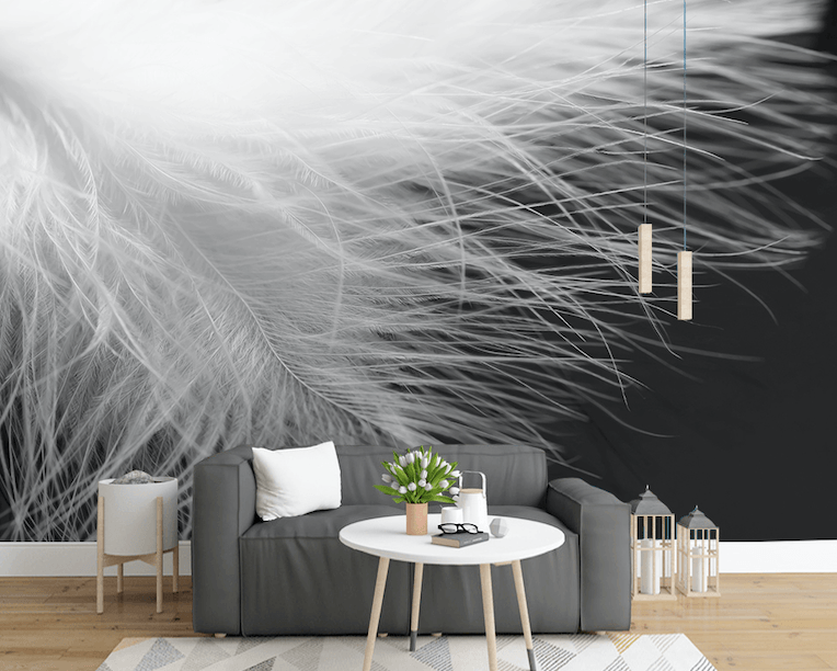 3D Modern Black White Feather Wall Mural Wallpaper JN 1441- Jess Art Decoration