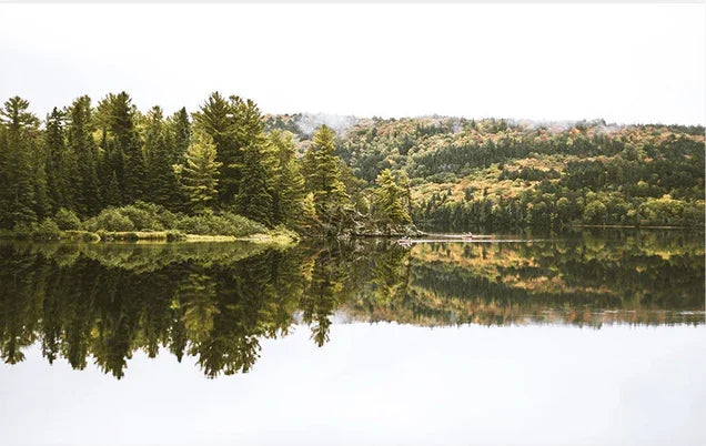 3D Lake Green Forest Landscape Wall Mural Wallpaper LQH 109- Jess Art Decoration
