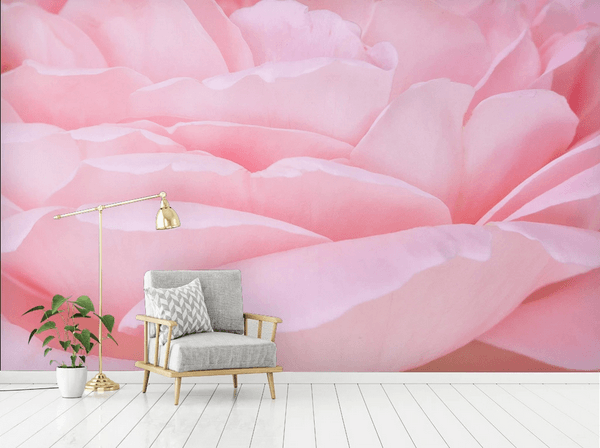 3D Pink Flower Petal Wall Mural Wallpaper 28- Jess Art Decoration