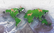 3D grassland world map reindeer wall mural wallpaper 97- Jess Art Decoration