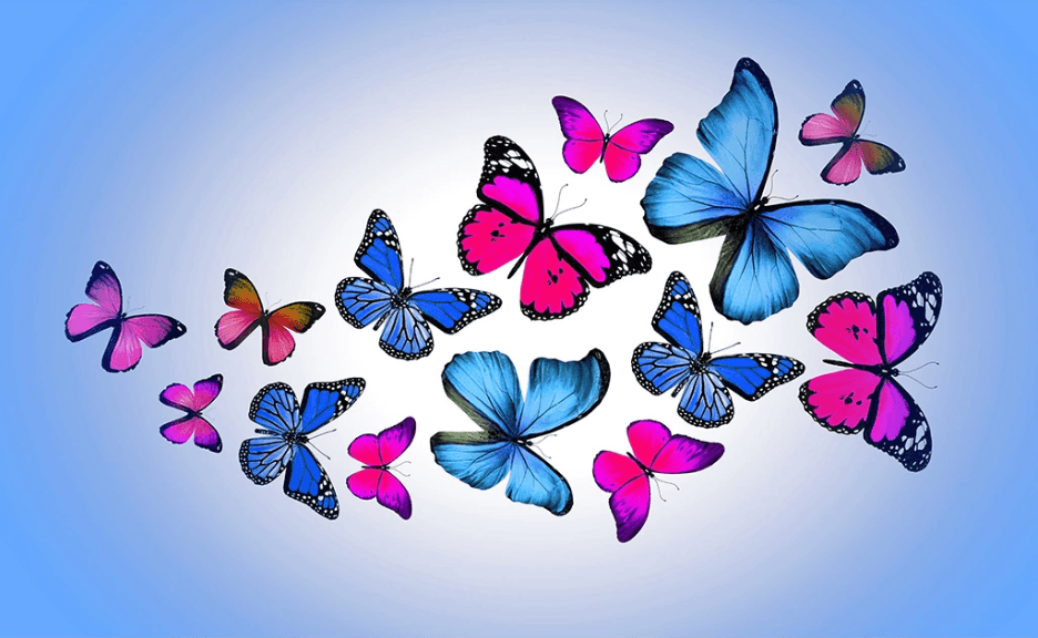3D Blue Butterfly Wall Mural Wallpaper 2372- Jess Art Decoration