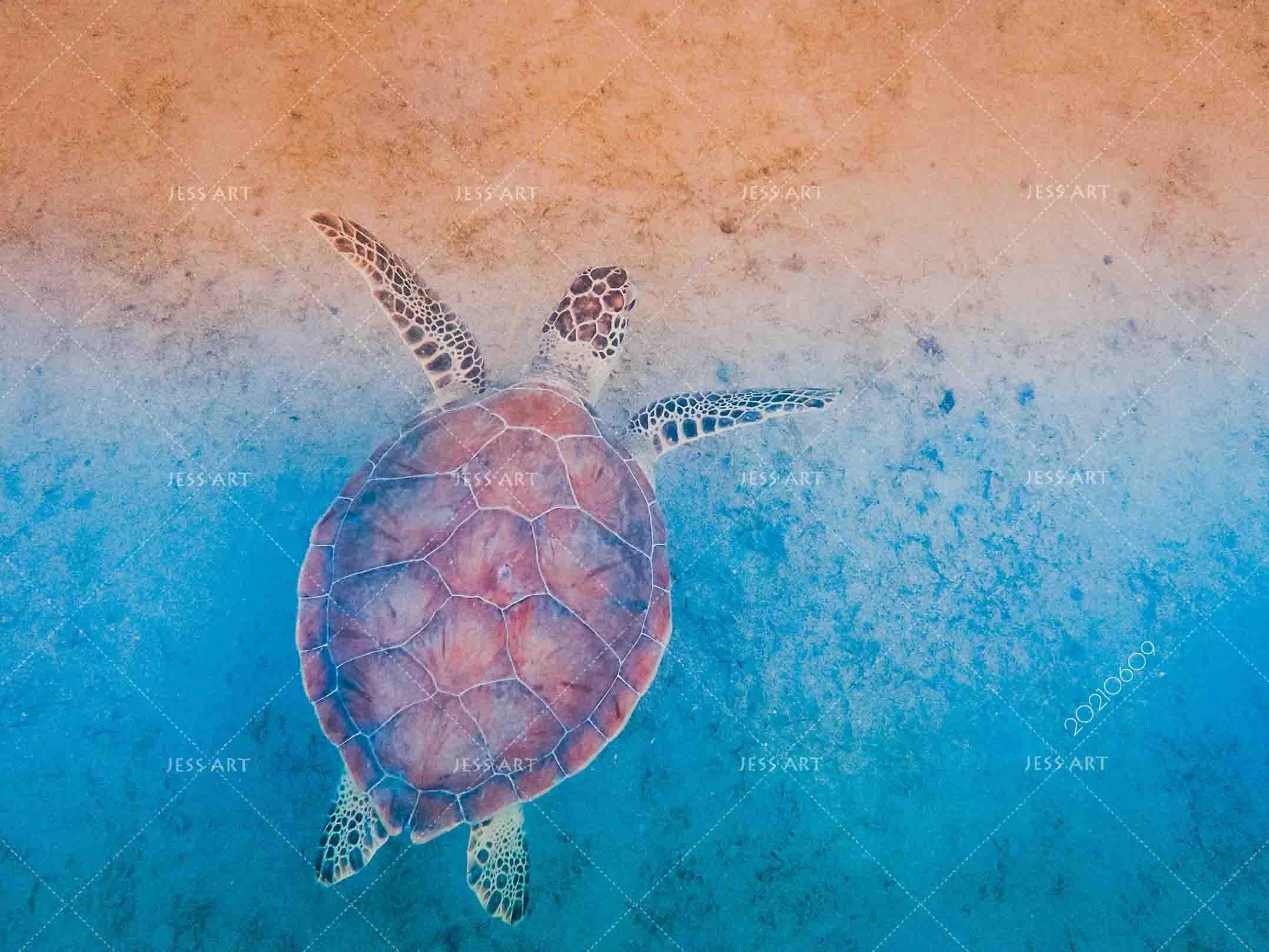 3D Hand-painted Fantasy Ocean Beach Turtle Wall Mural Wallpaper SWW1645- Jess Art Decoration