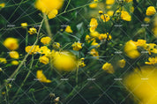 3D Yellow Flowers Wall Mural Wallpaper SF05- Jess Art Decoration
