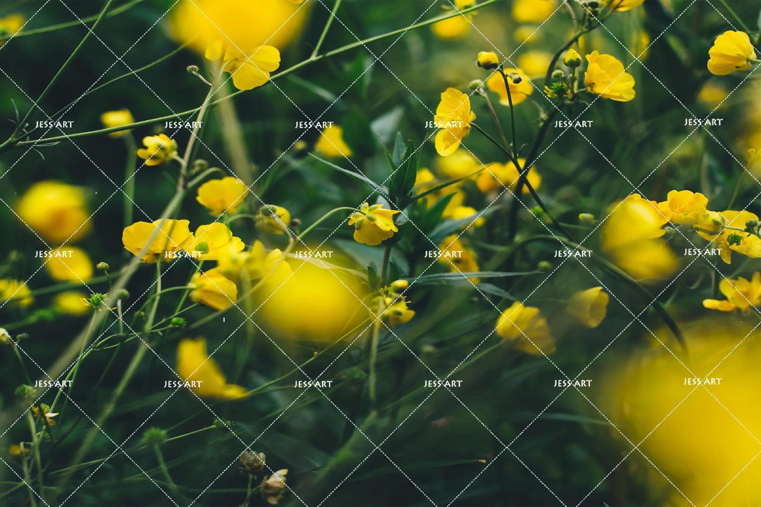 3D Yellow Flowers Wall Mural Wallpaper SF05- Jess Art Decoration