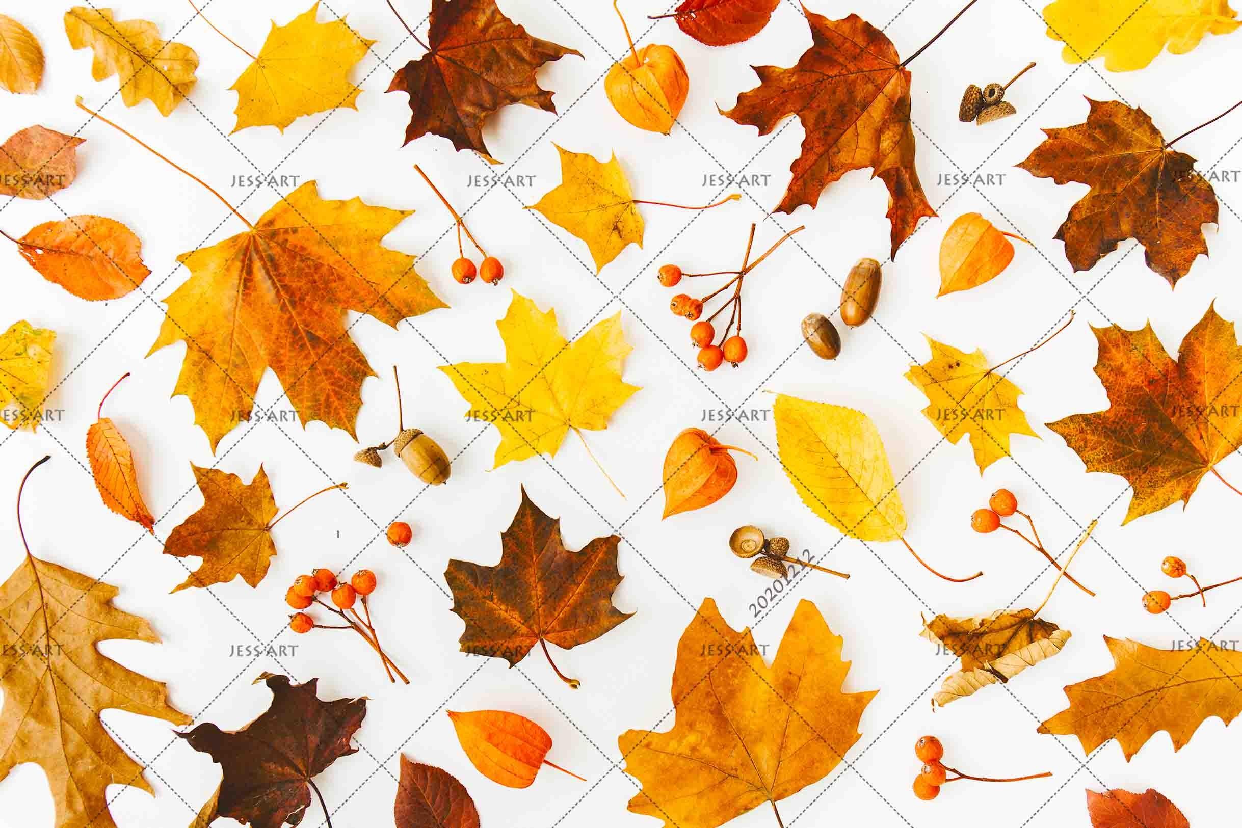 3D Embossed Autumn Maple Leaves Plant Wall Mural Wallpaper LXL- Jess Art Decoration