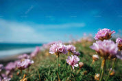 3D Sky Pink Floral Wall Mural Wallpaper LQH 250- Jess Art Decoration