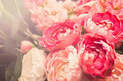 3D Pink Floral Wall Mural Wallpaper LQH 259- Jess Art Decoration