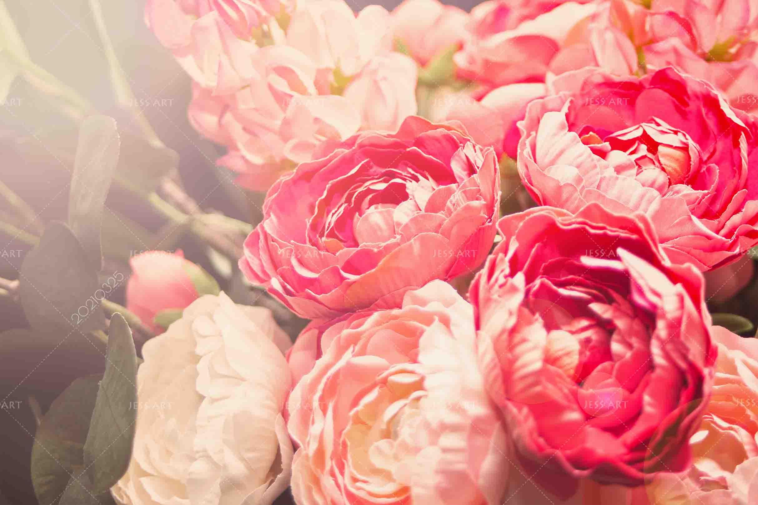 3D Pink Floral Wall Mural Wallpaper LQH 259- Jess Art Decoration