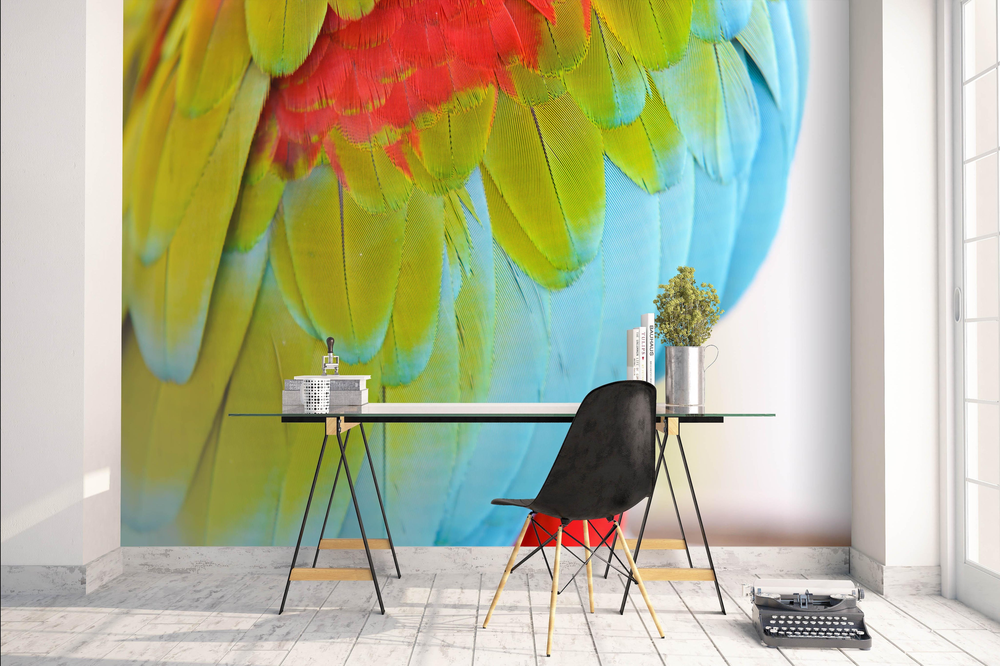 3D Colored Feathers Wall Mural Wallpaper 112- Jess Art Decoration