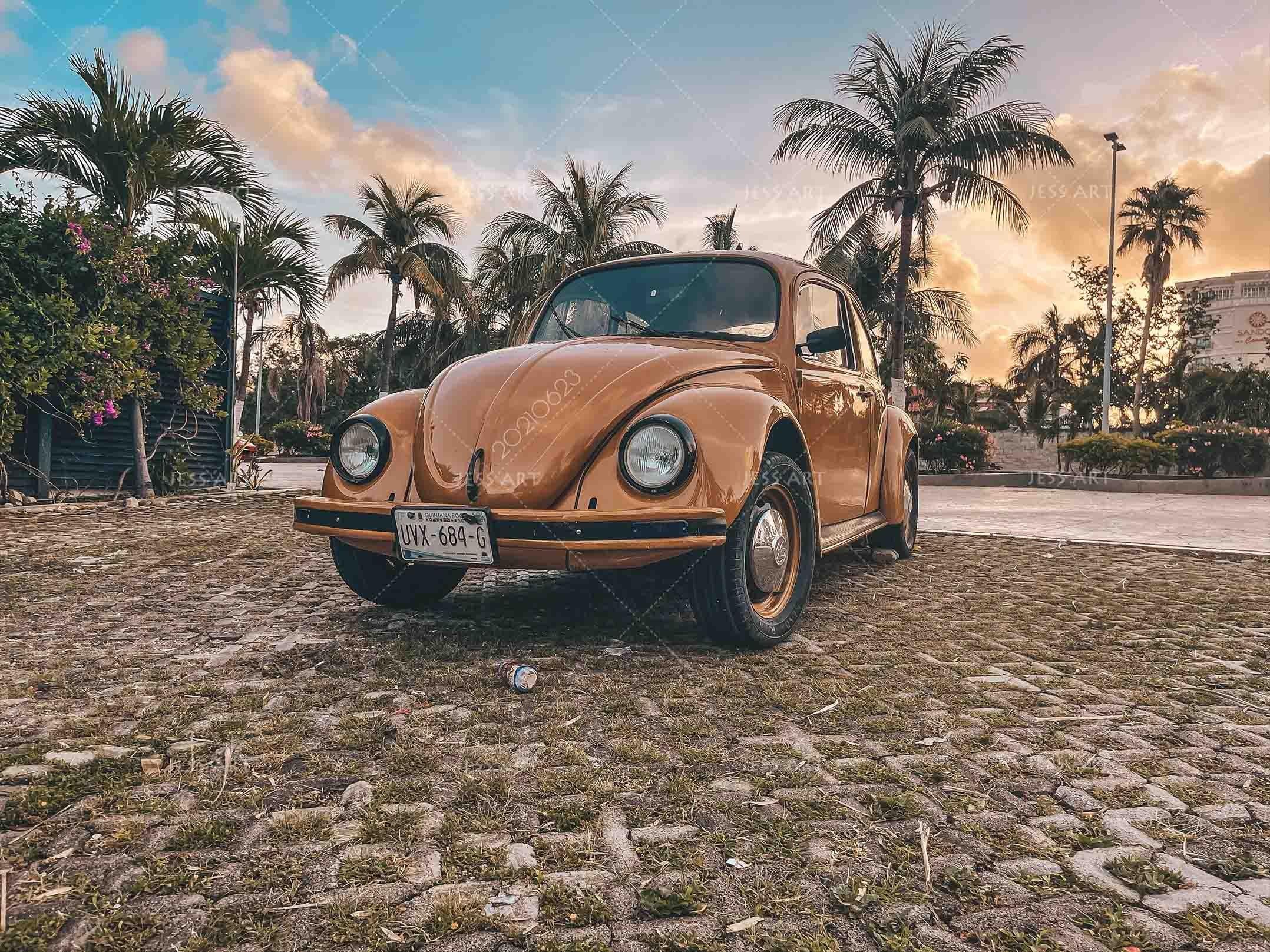 3D Tropical Jungle Car Wall Mural Wallpaper LQH 7- Jess Art Decoration