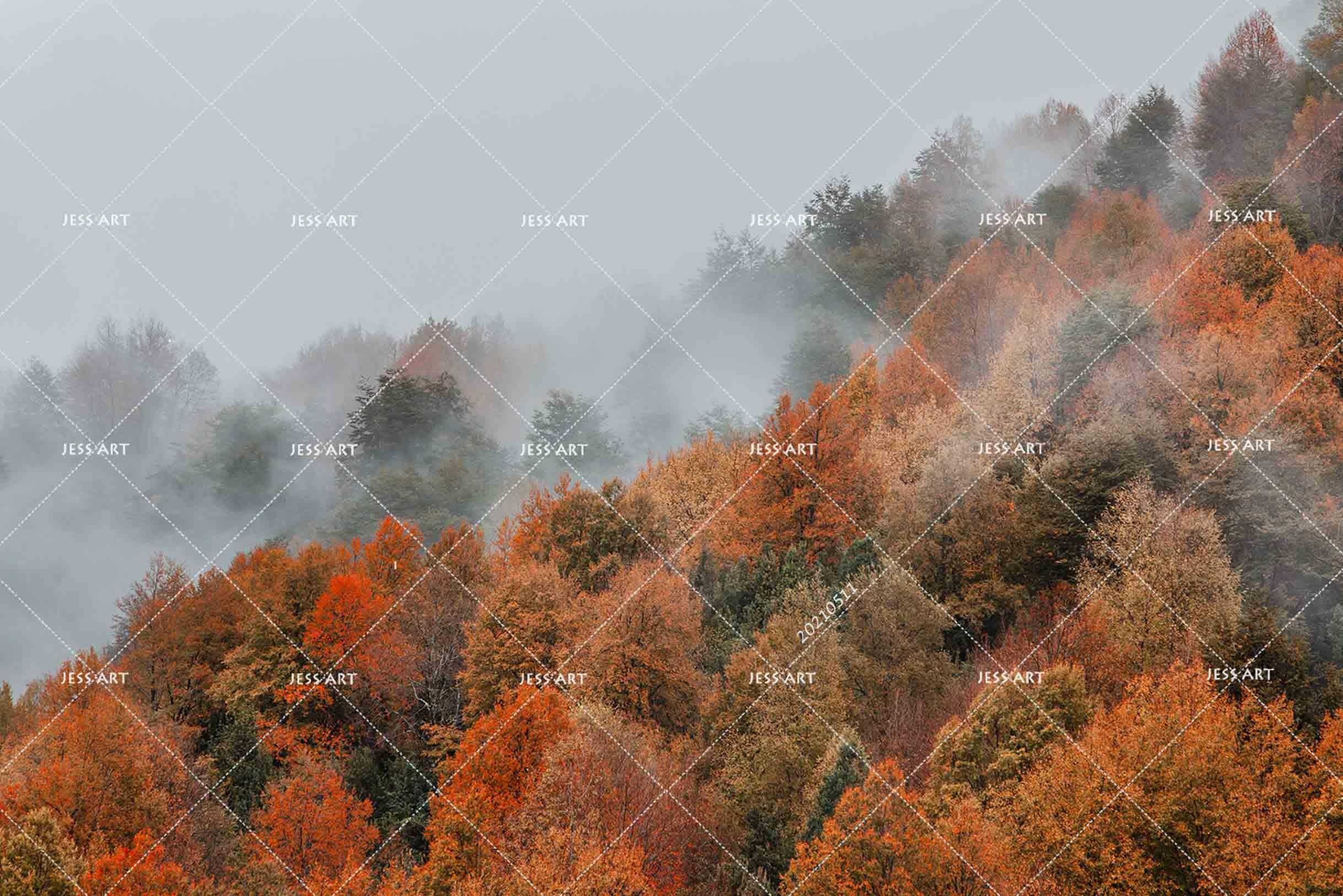 3D Fog Forest Landscape Wall Mural Wallpaper LQH 76- Jess Art Decoration