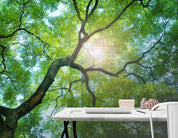 3D sun forest 116 wall murals- Jess Art Decoration