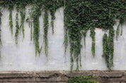 3D Green Plant Leaf Wall Background Wall Mural Wallpaper LQH 410- Jess Art Decoration