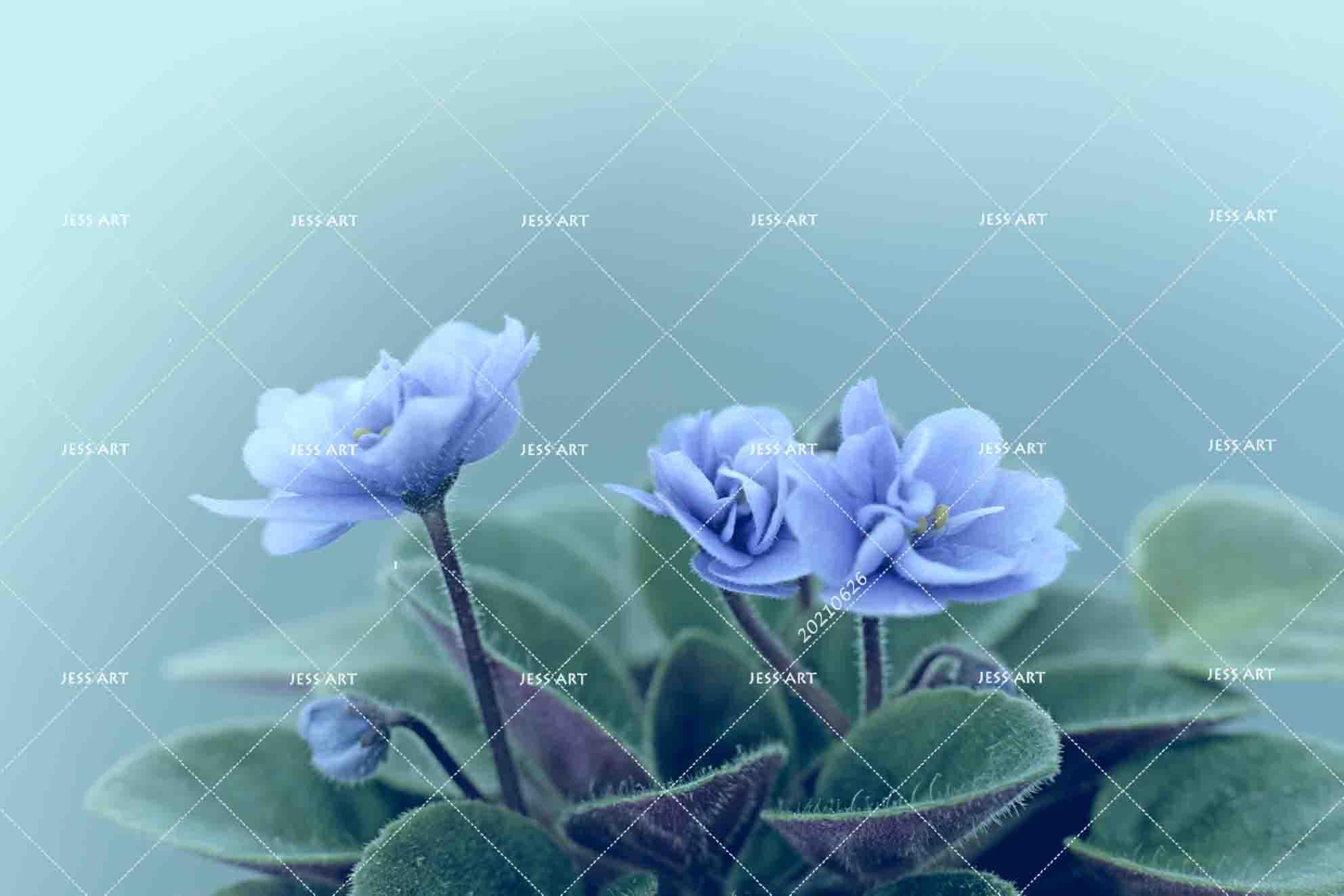 3D Watercolor Blue Floral Leaves Wall Mural Wallpaper LQH 21- Jess Art Decoration