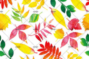 3D Yellow Red Leaves Wall Mural Wallpaper 188- Jess Art Decoration