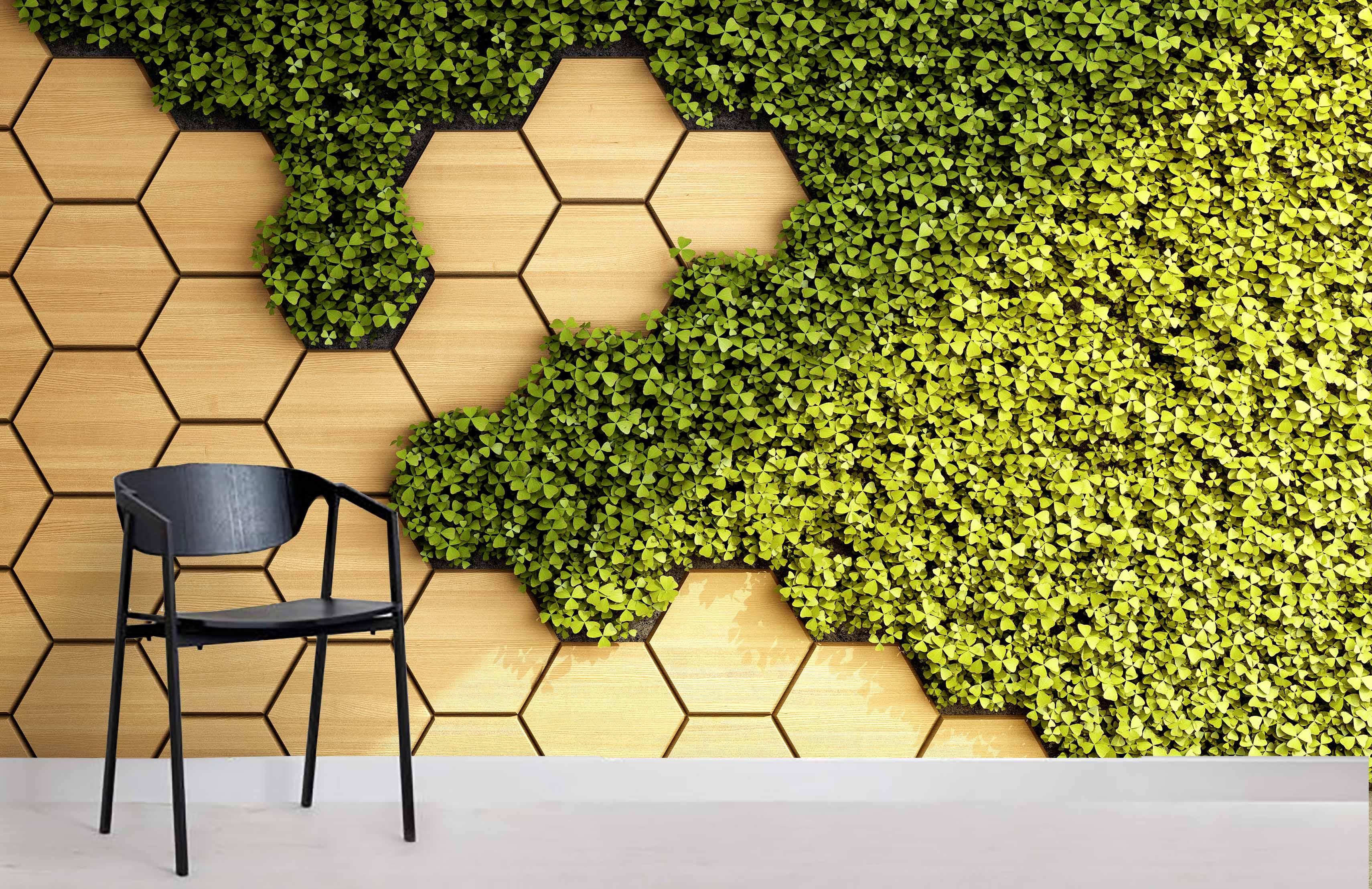 3D Hexagon Green Plant Wall Mural Wallpaper 124- Jess Art Decoration