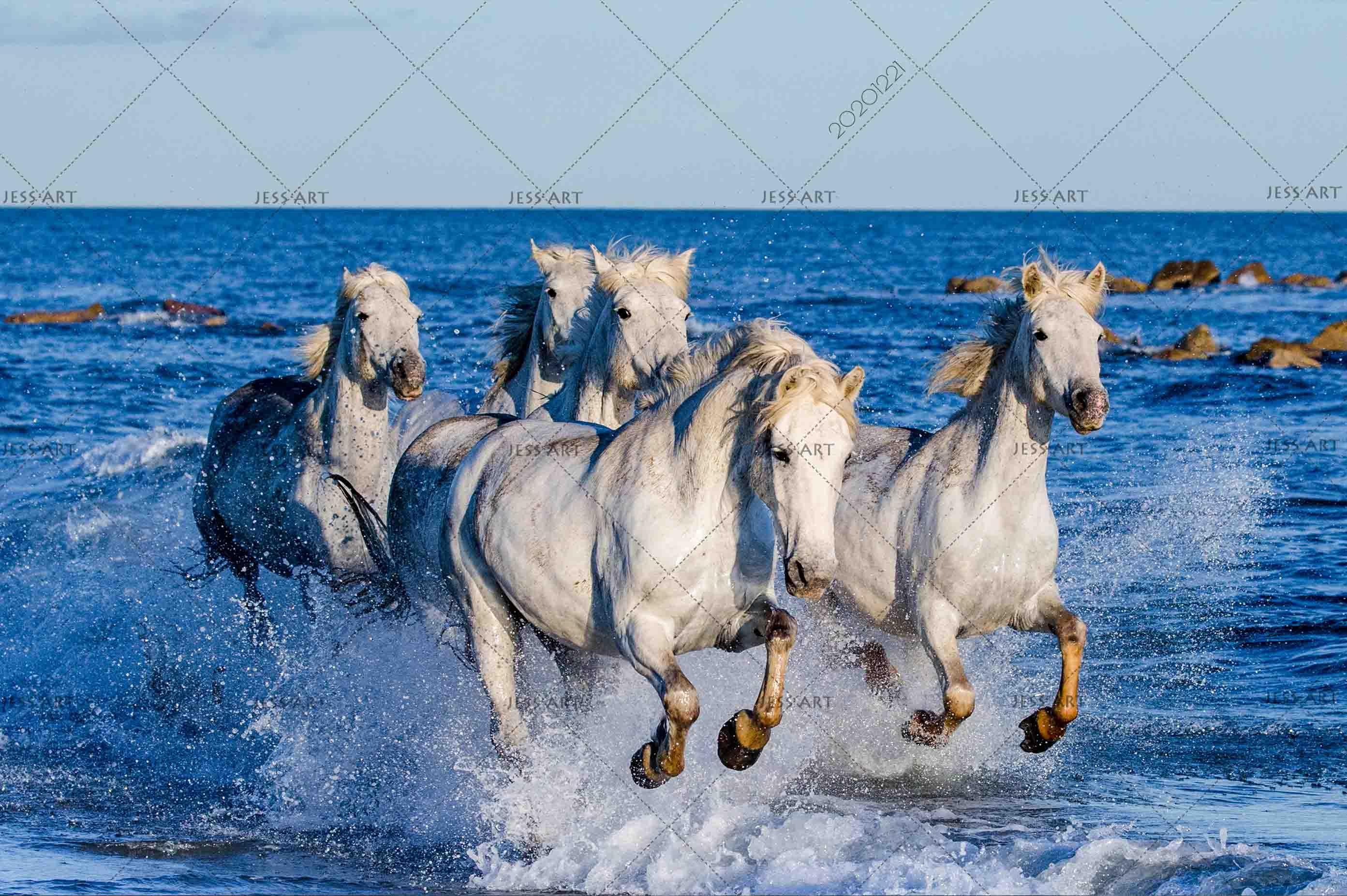3D Blue Sea White Running Horse Wall Mural Wallpaper LQH 38- Jess Art Decoration