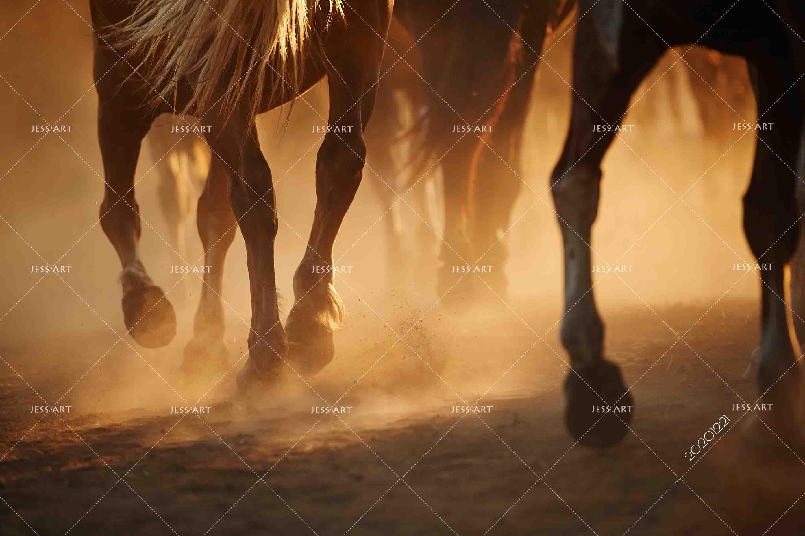 3D Running Horse Brown Wall Mural Wallpaper LQH 44- Jess Art Decoration