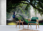 3D Sun, Peacock, Forest Wallpaper- Jess Art Decoration