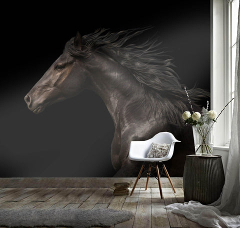 3D Black horse Wallpaper- Jess Art Decoration