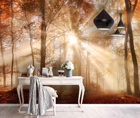 3D Sunshine, Autumn woods, Natural scenery Wallpaper- Jess Art Decoration