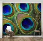 3D Details, Peacock feather Wallpaper- Jess Art Decoration