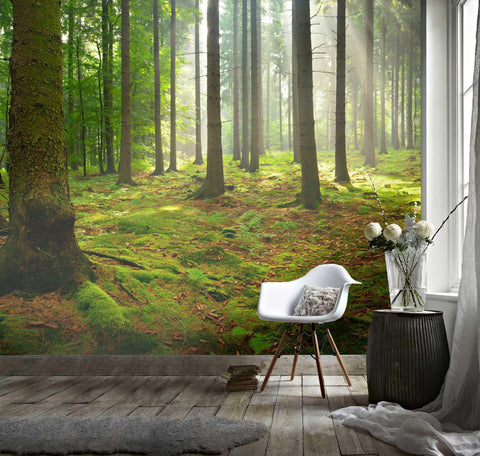 3D Mysterious, Forested landscape Wallpaper- Jess Art Decoration