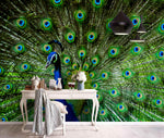 3D Gorgeous, Peacock, Feather Wallpaper- Jess Art Decoration