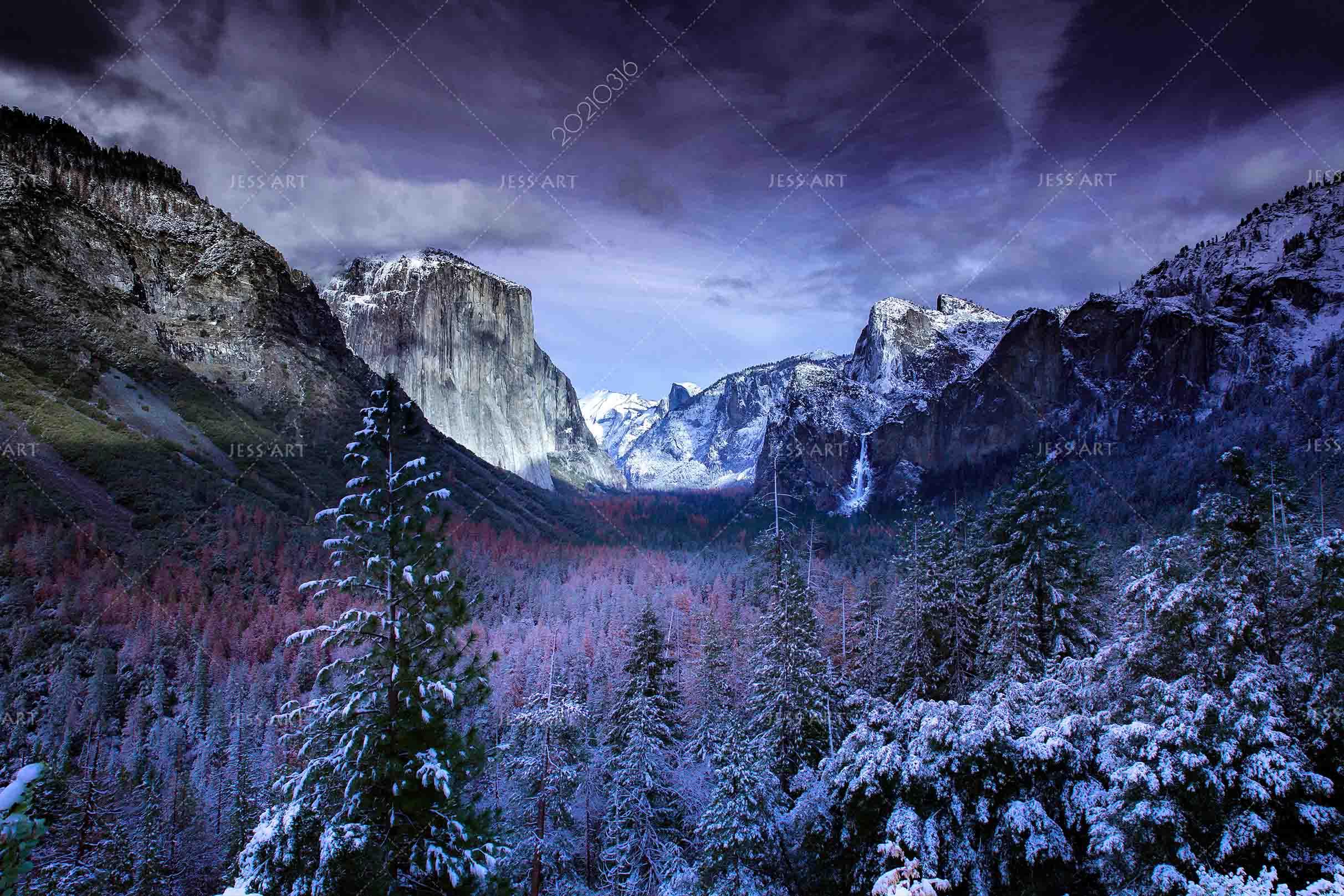 3D Snow Mountain Forest Landscape Wall Mural Wallpaper LQH 457- Jess Art Decoration
