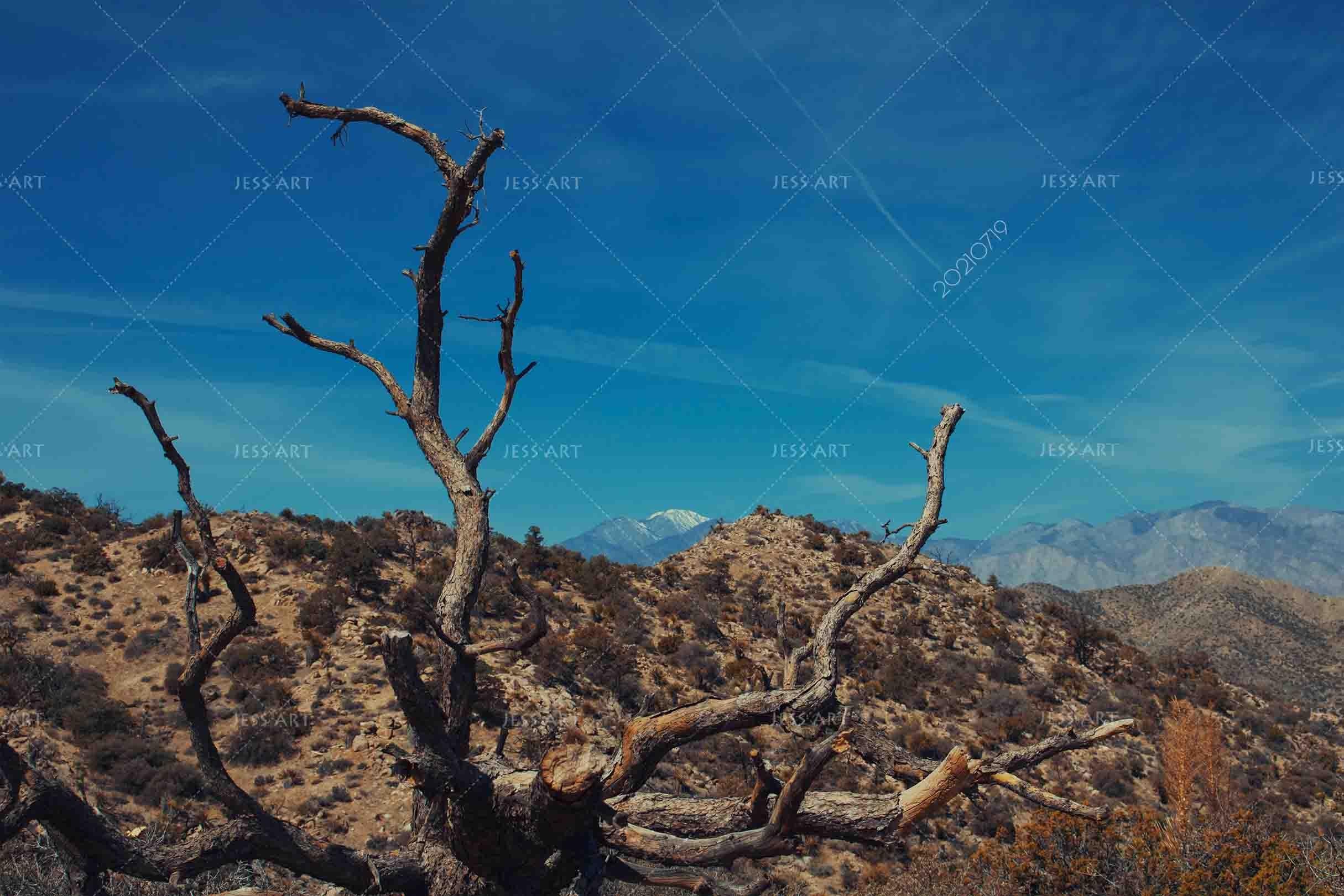 3D Withered Tree Mountain Sky Wall Mural Wallpaper SWW3000- Jess Art Decoration