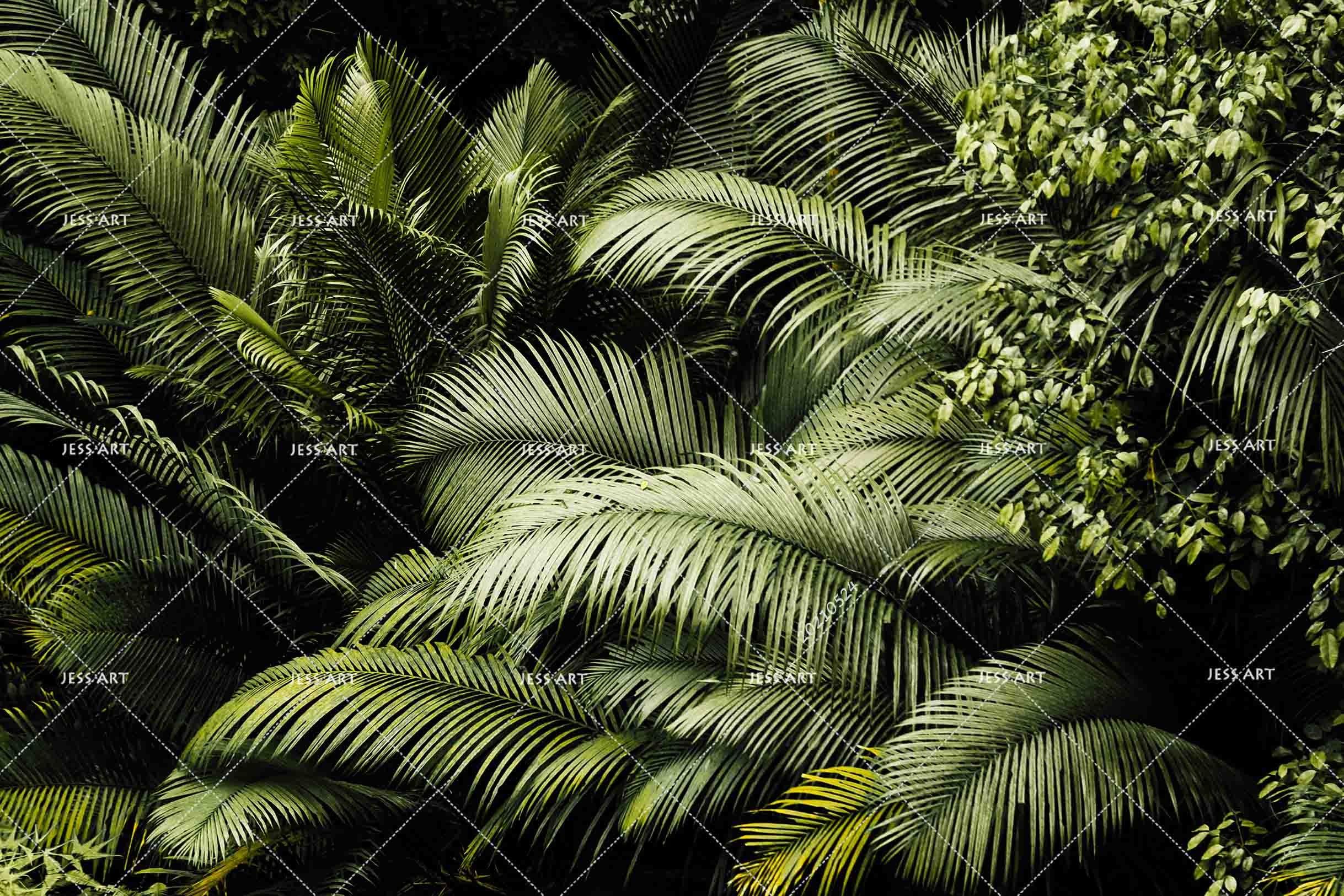 3D Tropical Plants Green Wall Mural Wallpaper SWW190- Jess Art Decoration