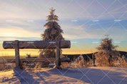 3D Sunset Sky Snow Forest Tree Landscape Wall Mural Wallpaper LQH 170- Jess Art Decoration