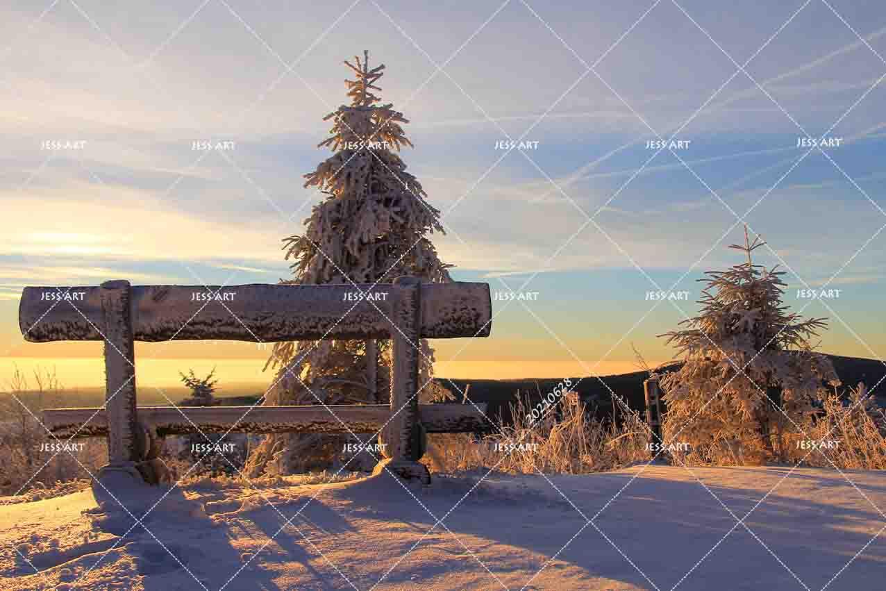3D Sunset Sky Snow Forest Tree Landscape Wall Mural Wallpaper LQH 170- Jess Art Decoration