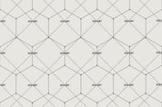 3D White Hexagon Wall Mural Wallpaper 22- Jess Art Decoration