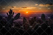 3D Cactus Sunrise Wall Mural Wallpaper SF81- Jess Art Decoration