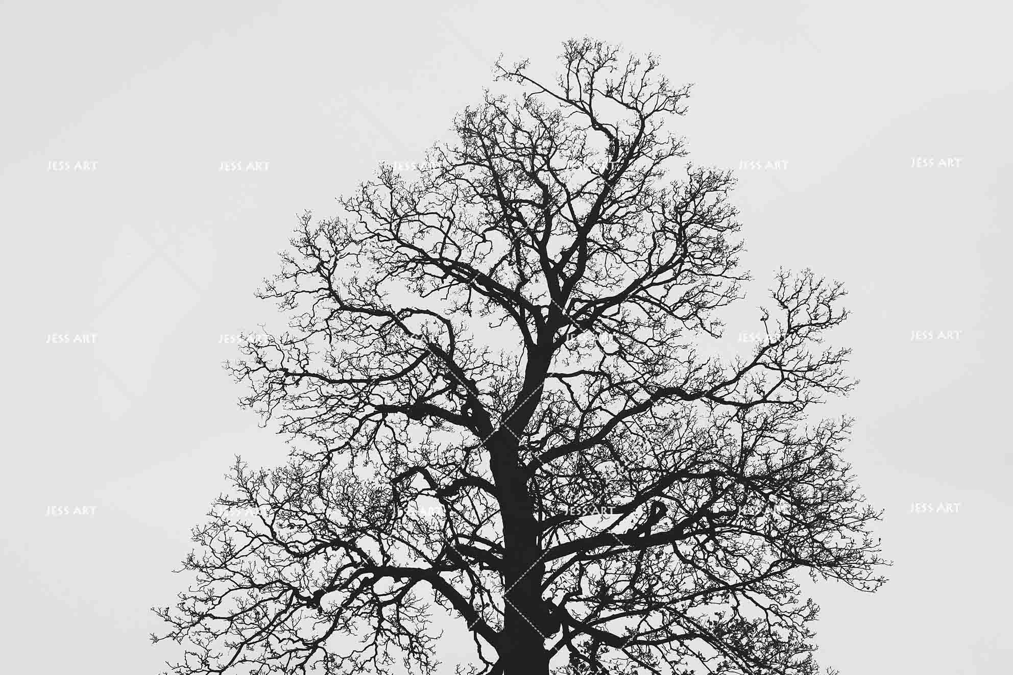 3D Withered Tree Silhouette Wall Mural Wallpaper SWW2386- Jess Art Decoration