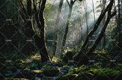 3D Forest Scenery Tree Trunk Sunlight Wall Mural Wallpaper SWW222- Jess Art Decoration